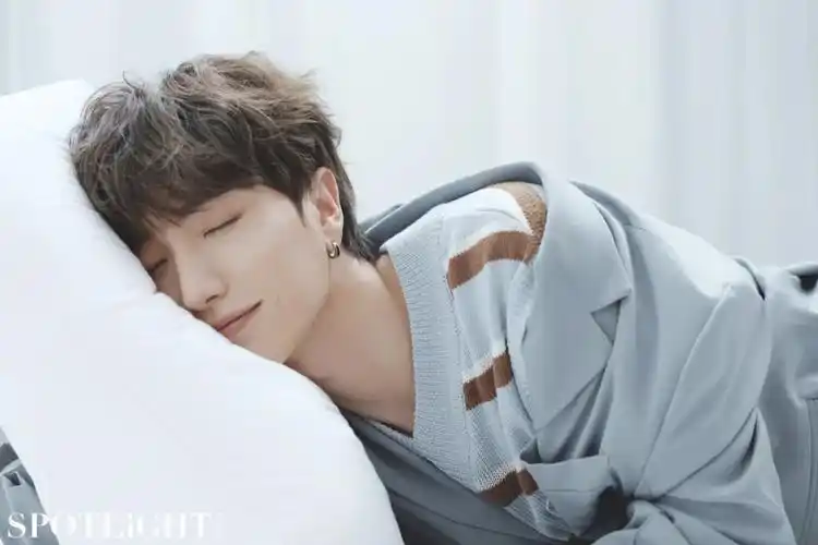 利特:温和梦境 | cover