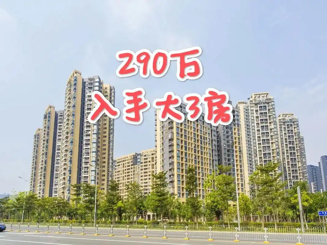 290万上车龙岗大运经典3房,低于指导价.中海康城花园位于大 - 抖音