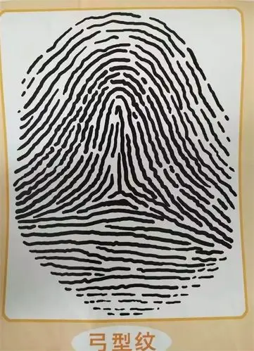 苹果班——科学有用的指纹