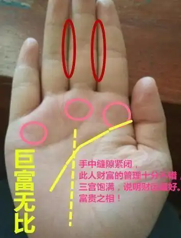 大拇指上有这种纹路的人,命格不凡,迟早必成大器!