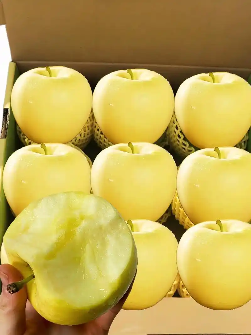 图文掘金计划 这个山东烟台的黄金奶油富士苹果,我第一次伺候 - 抖音