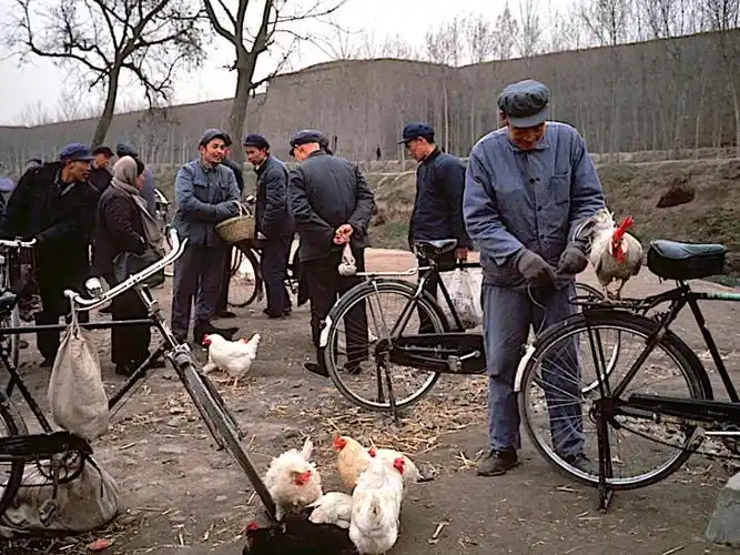 老照片1985年的中国百姓生活