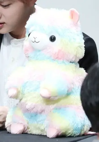 金浦机场签名会 防弹少年团 bts 金硕珍 阿珍 jin [ 哇 梦幻色的羊驼