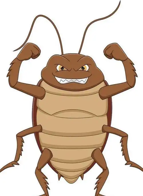 九成人都不知道蟑螂"天敌"是啥:学会在屋里放些它,蟑螂"立马跑光"