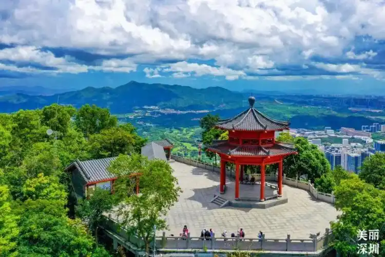 暑假去哪儿走进现实版绿野仙踪来塘朗山360看深圳的美