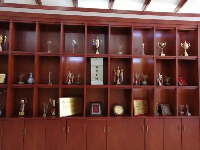 努力,坚持不懈的锻炼,学习,参加比赛,参加外出交流活动,获得的荣誉