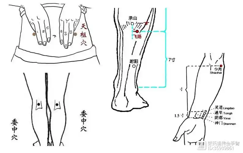 164期—腰疼十大穴,准确的治病穴!