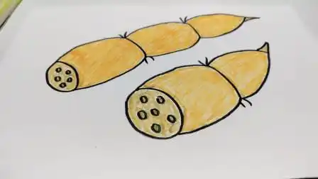 莲藕简笔画 莲藕简笔画图片带颜色