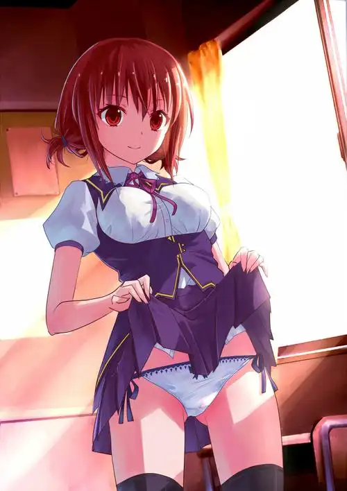 只有撩裙才能鉴别是否扶她(15p)