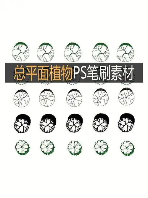 9999「景观设计植物笔刷」效率很高 ps笔刷园林景观设计植物平面