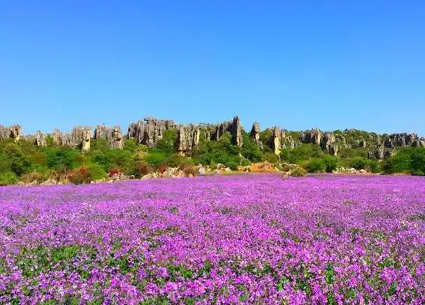 昆明旅游攻略景点大全,昆明有什么好玩的地方景点推荐,美景共赏