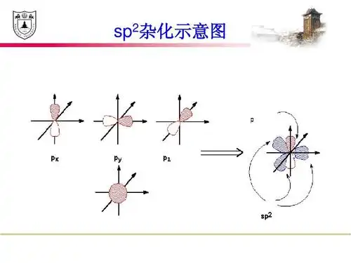 化学竞赛必备讲义 sp2杂化示意图