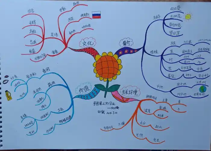 思维导图,呈现你的精彩!