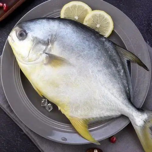 南海冰鲜黄立鲳750g1000g