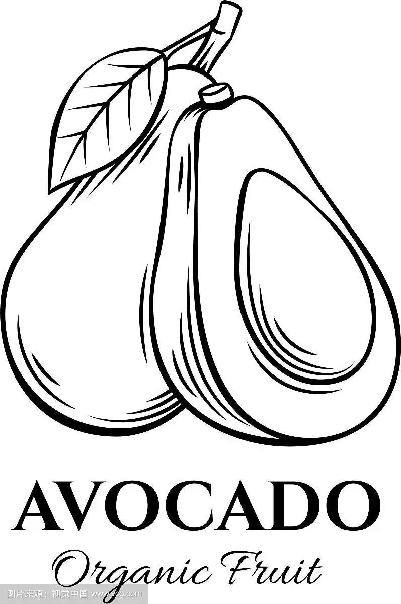 手绘鳄梨图标