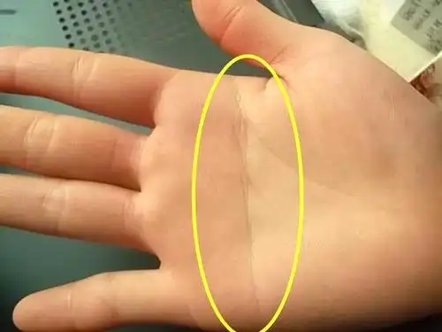 手相拥有断掌纹,是福还是祸!