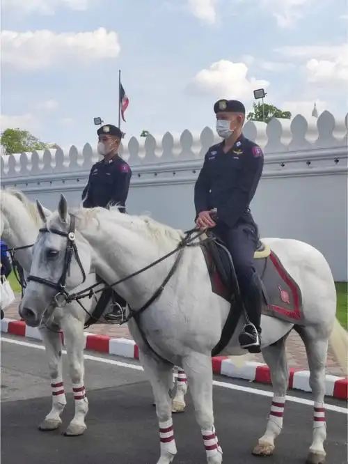 曼谷大皇宫帅骑警
