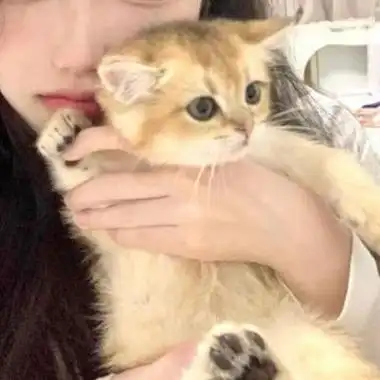 抱猫真人情头ks诉凂情侣头像