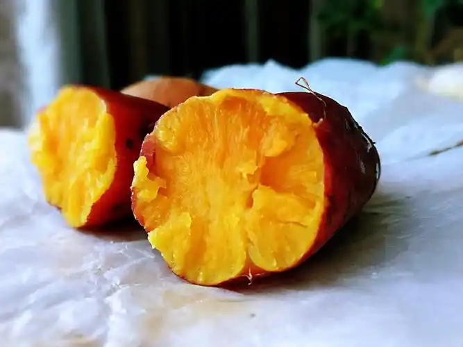 红薯是蒸着还是用水煮着吃 红薯是蒸着还是用水煮着吃好呢_百科-探索