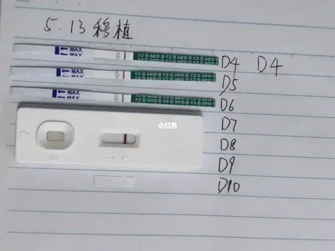 试管d5囊胚移植第6天