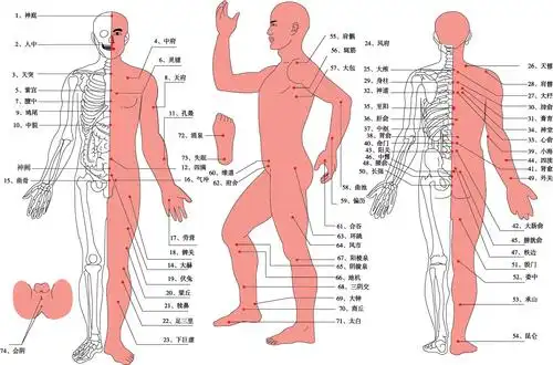 康祝医疗产品展示拔罐器
