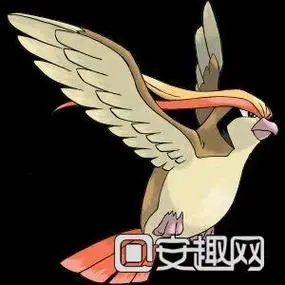 比雕mega大针蜂大针蜂mega进化水箭龟幽冥火龙翔翼火龙喷火龙mega妙蛙