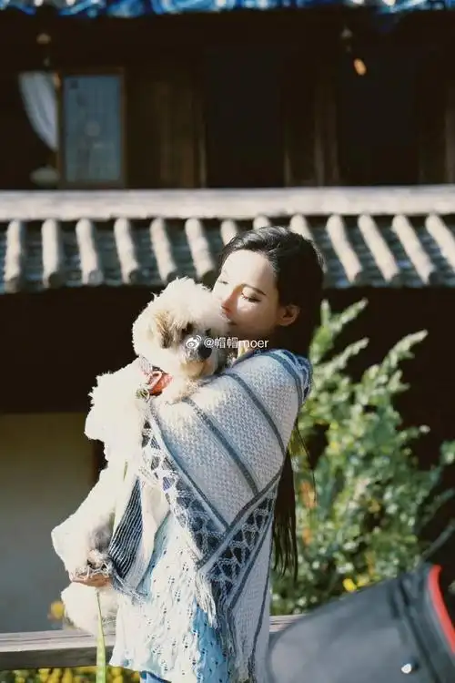 手机拍照都大模型了