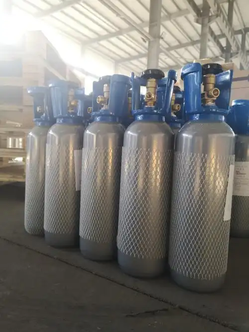 山东宏晟 二氧化碳瓶 出口钢瓶 10升家用氧气瓶厂家