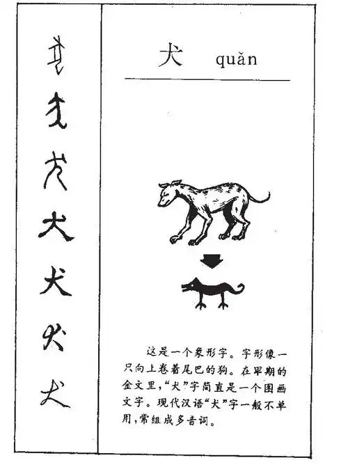 犬字的起名意思狗.犬字取名好不好?犬字为取名不常用字,寓意一般.