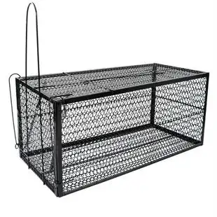 大救助捕猫笼自动捉猫笼流浪猫寻猫神器逮猫抓猫老鼠捕鼠器陷阱