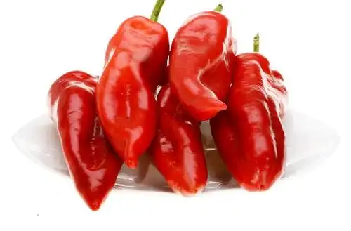 划算的大红椒顺得发实业供应