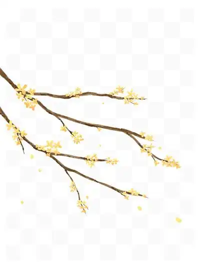 古 i>风 /i>手绘 i> i>秋 /i> /i> i> i>天 /i> /i>桂花树枝插画