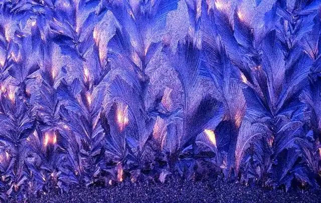 见过冰窗花吗?每一朵都是不可复制的美好,愿你的日子也充满温情