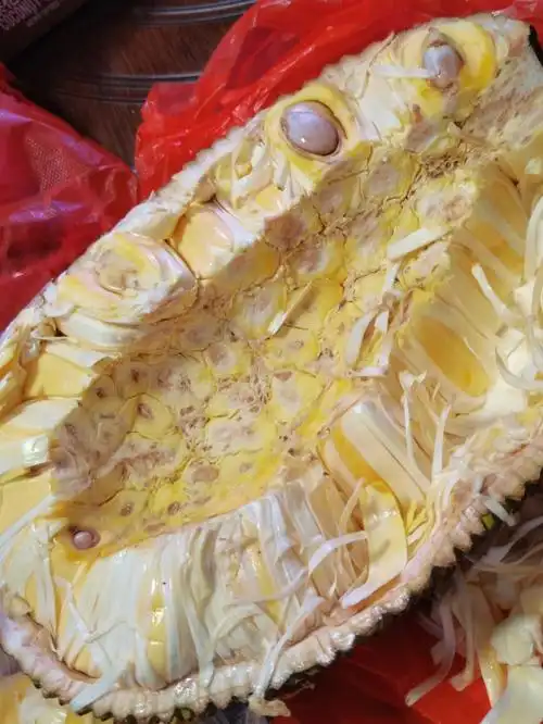 在线发问菠萝蜜怎么快速剥肉14