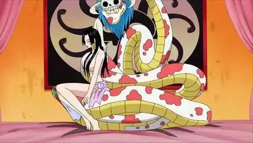 尾田荣一郎老婆照片