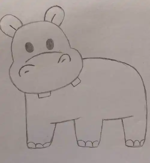 河马简笔画 河马简笔画 简单漂亮