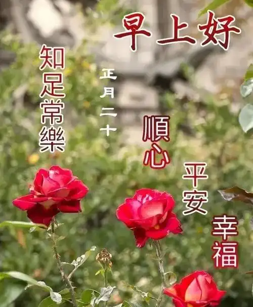 正月二十三创意唯美早上好祝福图片带字,愿我们家家幸福,人人健康