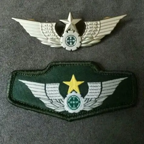 解放军陆军新式软胸标是什么样的?