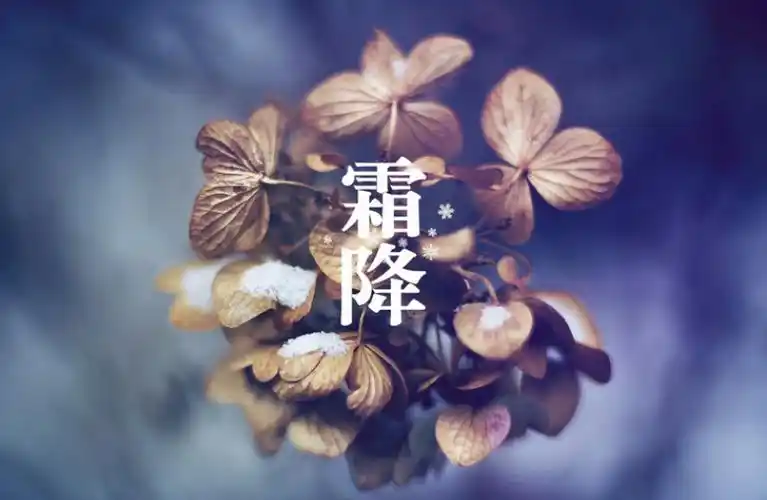 昨天(23日)7点46分,迎来了今年秋天的最后一个节气——霜降,不过武汉