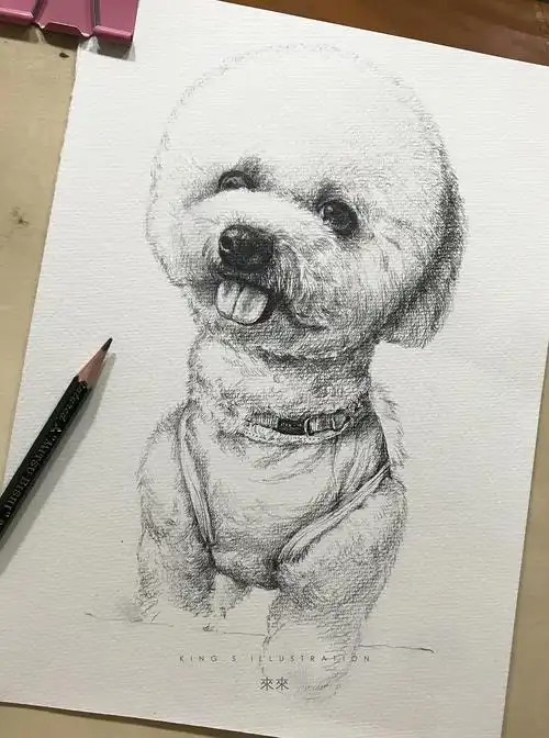 来来- 原创作品 - 站酷(zcool)