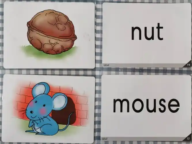 这周外教老师给我们带来了新的单词宝宝:mouse老鼠    nut