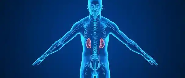 健康37°c工作室:关注尿液,早期发现肾脏病