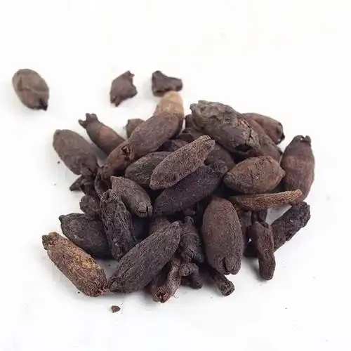 公丁香和母丁香的区别在哪里?