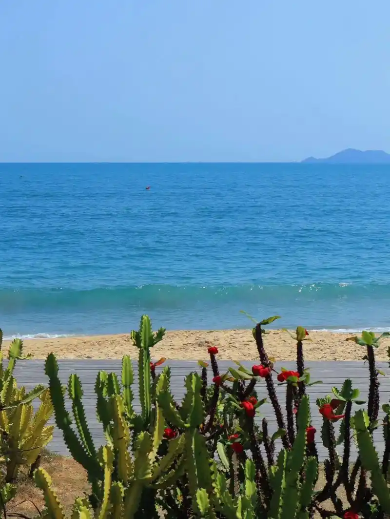 大梅沙海滨公园在沙滩界里绝 - 抖音