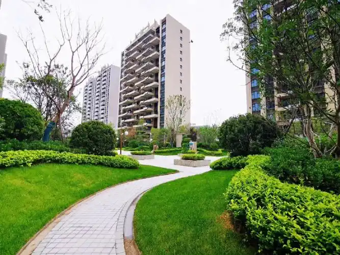 碧桂园翡丽公馆144平4居室精装未住180万