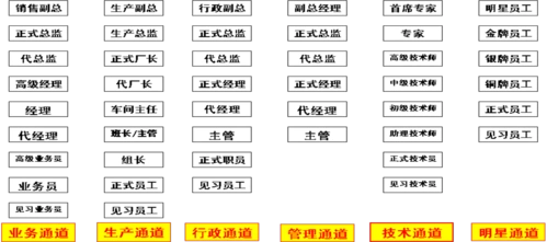 岗位晋升通道总图