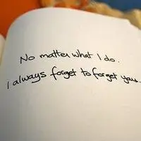 漂亮的英文头像图片_微信头像图片大全