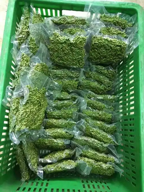 重庆特产爱维王保鲜青花椒350g九叶青鲜花椒真空包装10袋包邮
