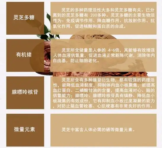 权健破壁灵芝孢子粉胶囊