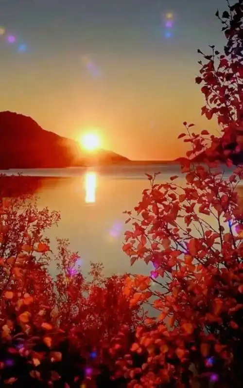 吉祥,吉祥!一切順利順心,万事如意,快快樂樂!幸福健康!